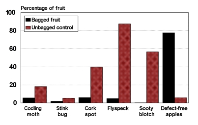 Summary of 1995-1998 Apple Bagging Studies