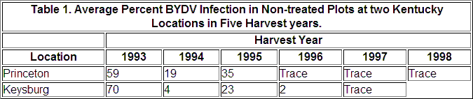 Barley Yellow Dwarf Virus Infection