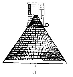 Texas Pheromone Trap