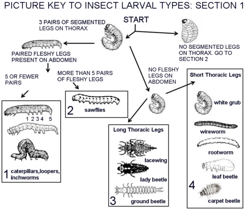 Section 1