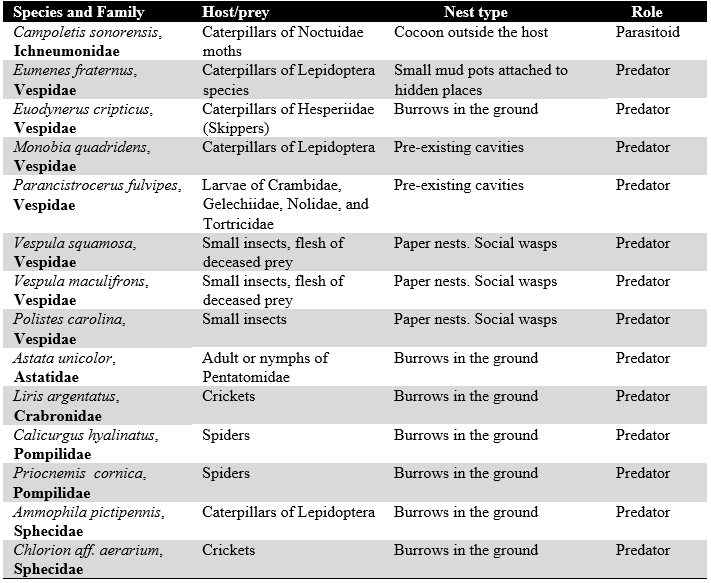 Wasp Species in Hemp