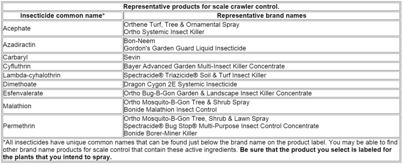 Juniper Scale: Control Chart