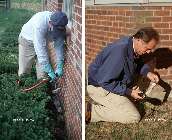  liquid application (left), baiting (right) 