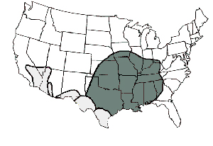 Distribution of the brown recluse spider (dark shading) and other species of Loxosceles spiders in the U.S. (light shading)
