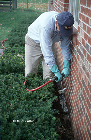 Termites can also be controlled by treating the soil with a liquid termiticide