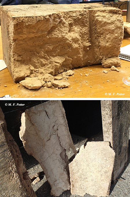 Beetle damage in a rick house. It took many years of neglect to reach this point.