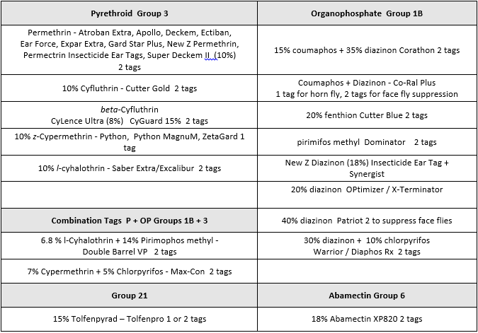 Table b