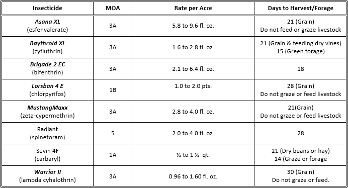 Table c