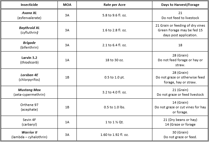 Table m