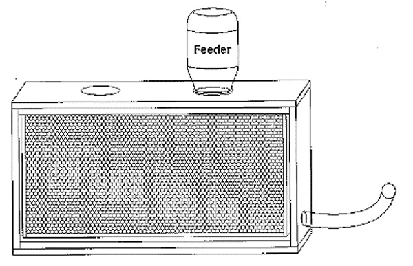 basic observation hive