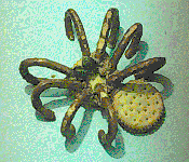 Spider Pretzel