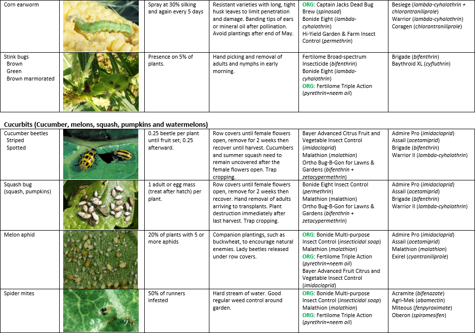 Vegetable Production Recommendations