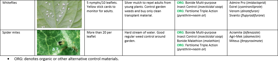 Vegetable Production Recommendations